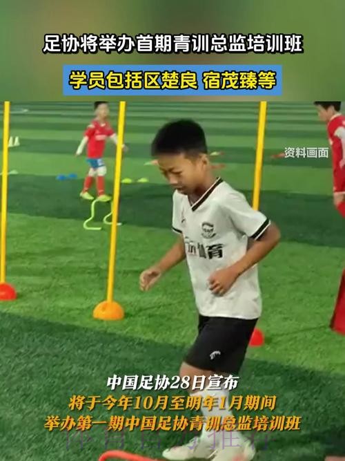 2018年第二期中国足协青训中心青训总监培训班在蓉结束 2018年第二期中国足协青训中心青训总监培训班在蓉结束